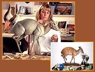 taxidermy mounts raw trophy preparation animal taxidermists south africa